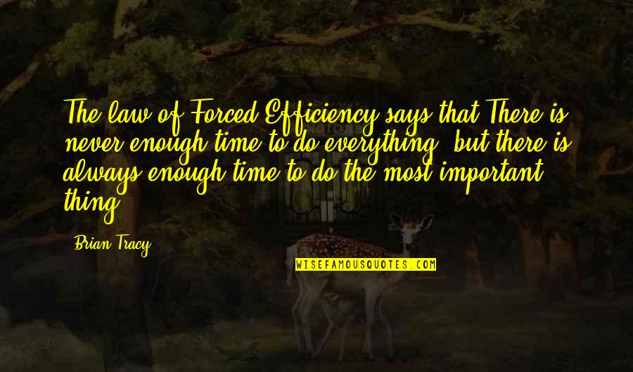Coxcombry Quotes By Brian Tracy: The law of Forced Efficiency says that There