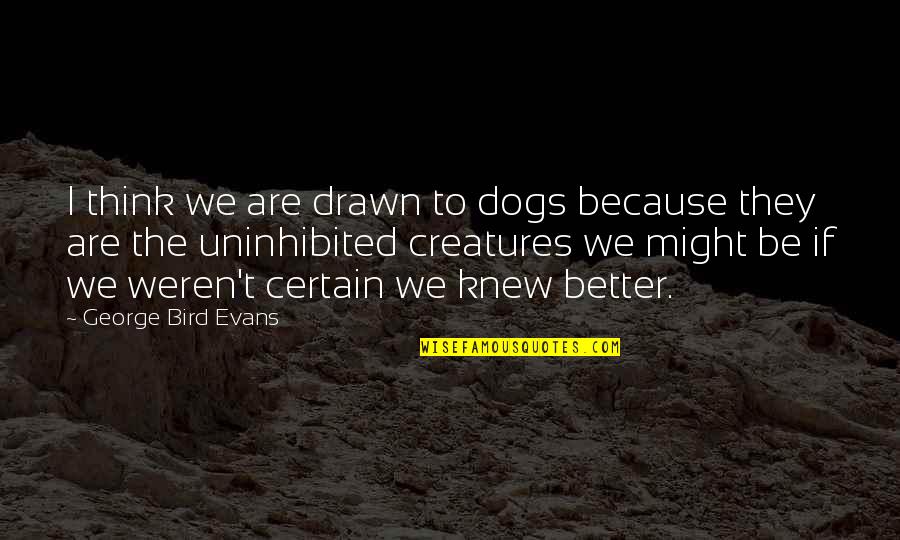 Coxcombs Flowers Quotes By George Bird Evans: I think we are drawn to dogs because Coxcombs Flowers Quotes By George Bird Evans: I think we are drawn to dogs because