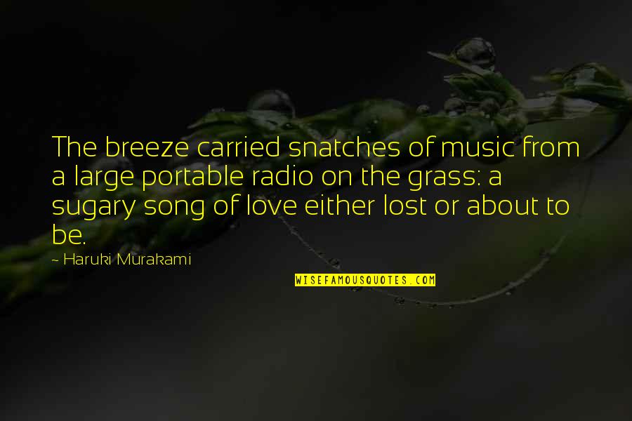 Coxswain Quotes By Haruki Murakami: The breeze carried snatches of music from a