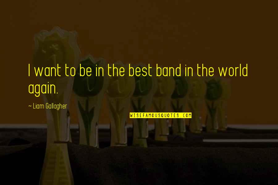 Coxswains Mate Quotes By Liam Gallagher: I want to be in the best band