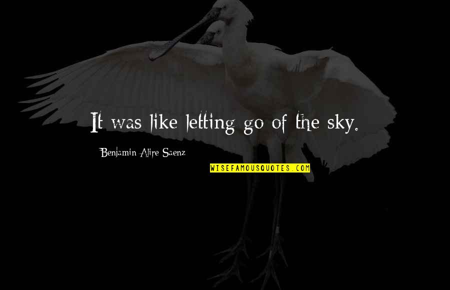 Cozy Love Quotes By Benjamin Alire Saenz: It was like letting go of the sky.