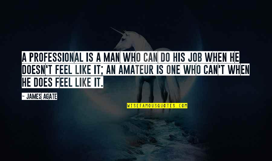 Cr7 Motivational Quotes By James Agate: A professional is a man who can do