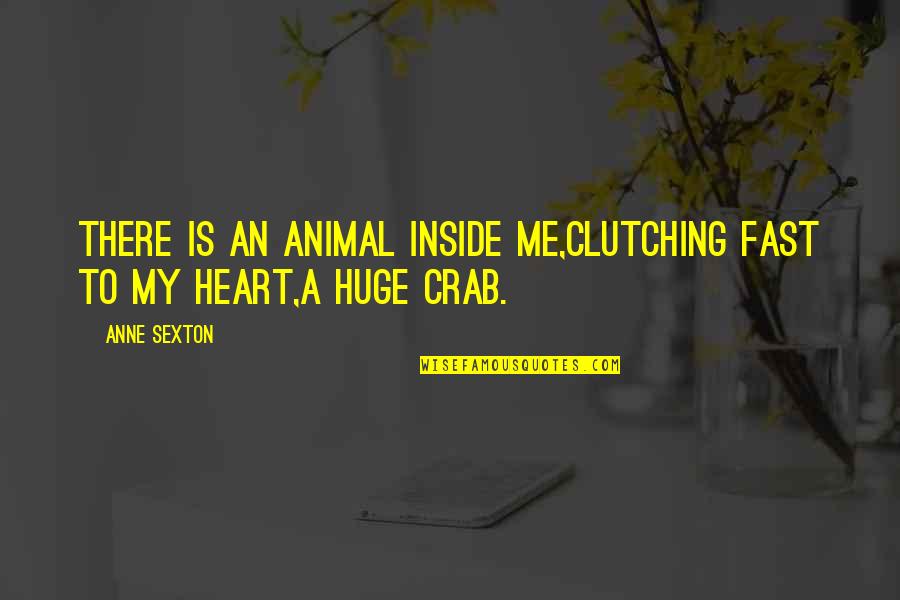 Crabs Quotes By Anne Sexton: There is an animal inside me,clutching fast to