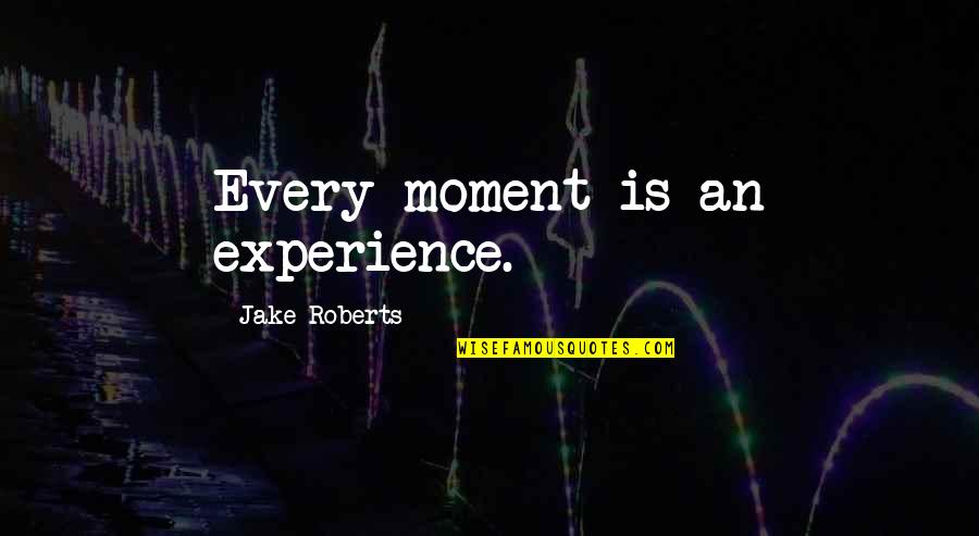 Crabwalk Gunter Grass Quotes By Jake Roberts: Every moment is an experience.