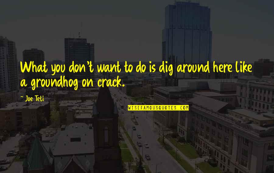 Crack'd Quotes By Joe Teti: What you don't want to do is dig