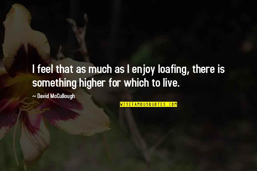 Crackhead Jokes Quotes By David McCullough: I feel that as much as I enjoy Crackhead Jokes Quotes By David McCullough: I feel that as much as I enjoy