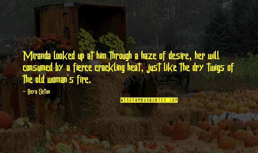 Crackling Quotes By Anya Seton: Miranda looked up at him through a haze Crackling Quotes By Anya Seton: Miranda looked up at him through a haze