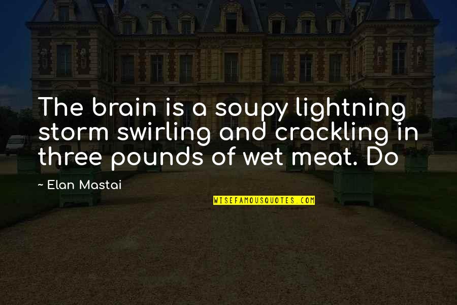 Crackling Quotes By Elan Mastai: The brain is a soupy lightning storm swirling Crackling Quotes By Elan Mastai: The brain is a soupy lightning storm swirling