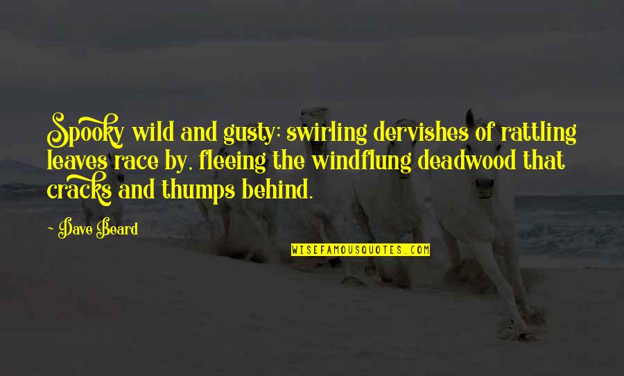 Cracks Quotes By Dave Beard: Spooky wild and gusty; swirling dervishes of rattling
