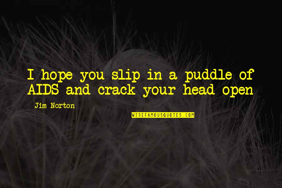 Cracks Quotes By Jim Norton: I hope you slip in a puddle of