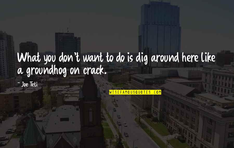 Cracks Quotes By Joe Teti: What you don't want to do is dig