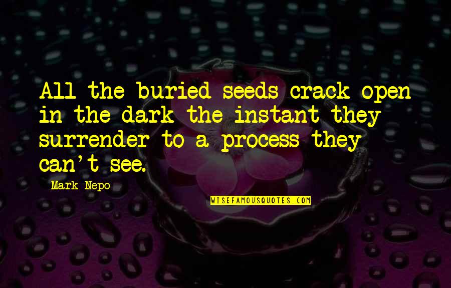 Cracks Quotes By Mark Nepo: All the buried seeds crack open in the