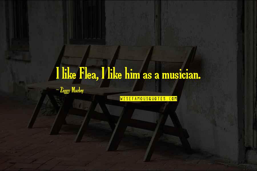 Cradle Robber Quotes By Ziggy Marley: I like Flea, I like him as a