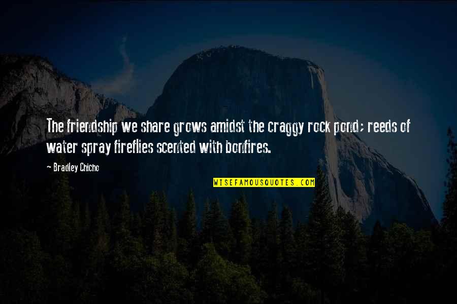 Craggy Quotes By Bradley Chicho: The friendship we share grows amidst the craggy