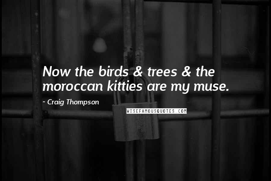 Craig Thompson quotes: Now the birds & trees & the moroccan kitties are my muse.