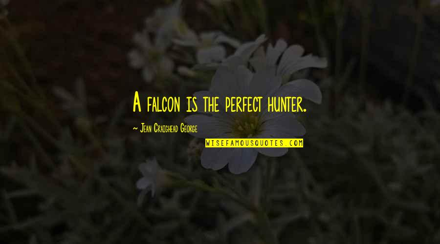 Craighead Quotes By Jean Craighead George: A falcon is the perfect hunter.