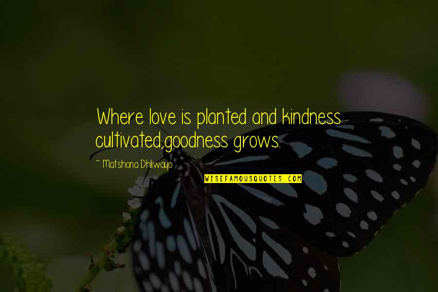 Cramaro Tarps Quotes By Matshona Dhliwayo: Where love is planted and kindness cultivated,goodness grows.