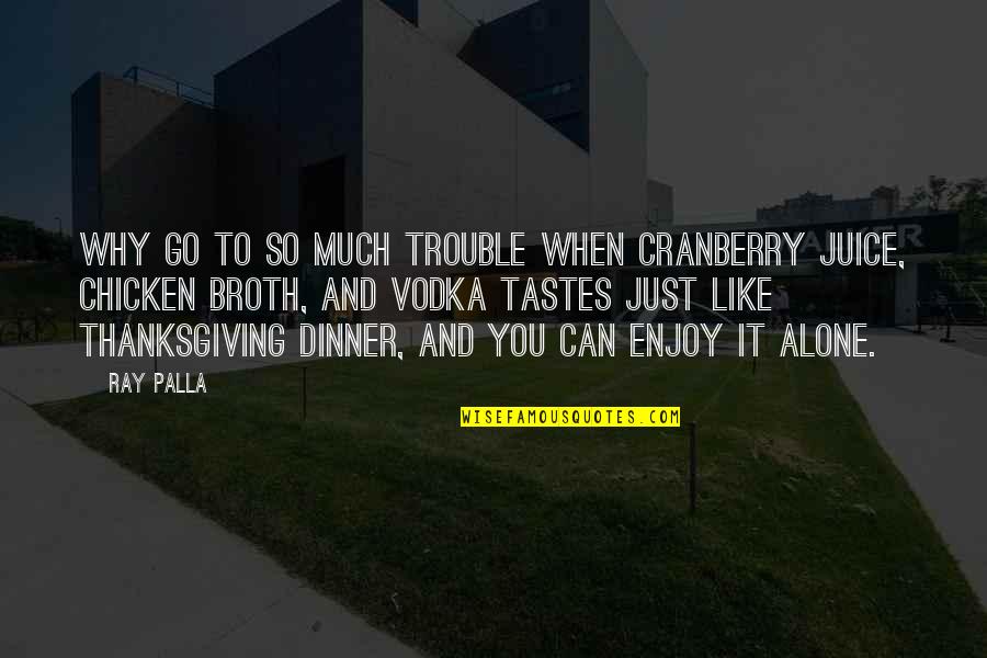 Cranberry Quotes By Ray Palla: Why go to so much trouble when Cranberry