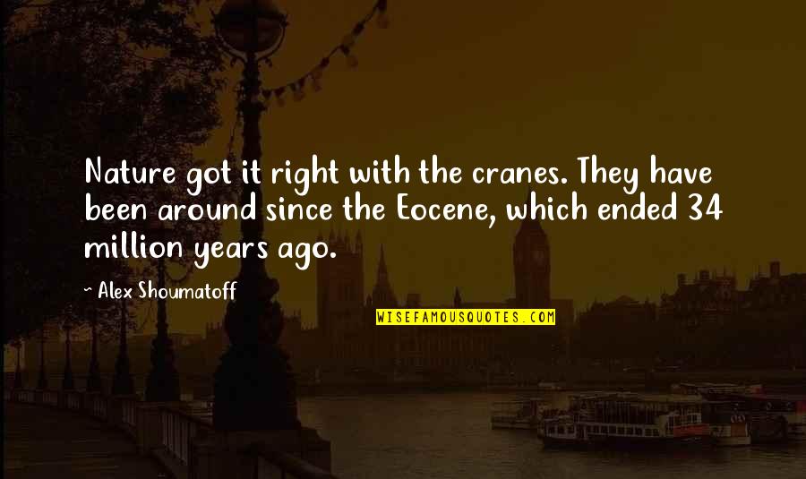 Cranes Quotes By Alex Shoumatoff: Nature got it right with the cranes. They