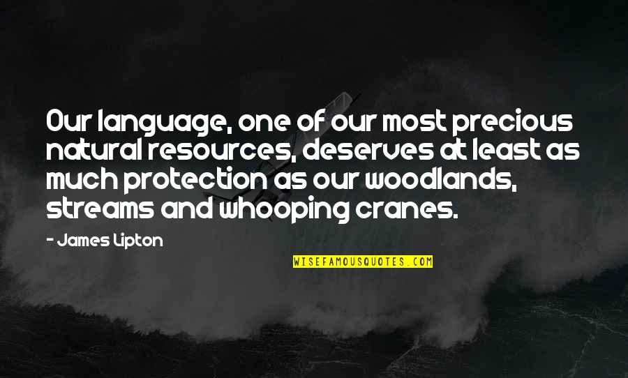 Cranes Quotes By James Lipton: Our language, one of our most precious natural