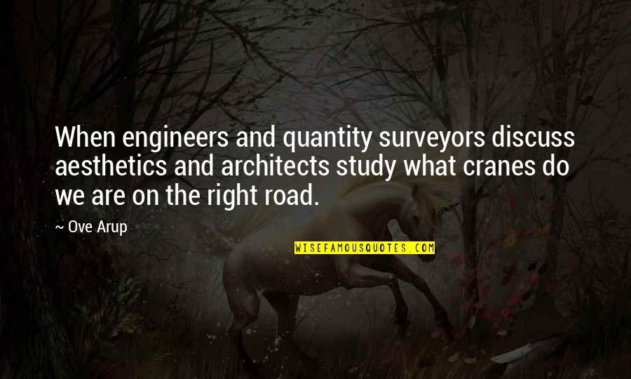 Cranes Quotes By Ove Arup: When engineers and quantity surveyors discuss aesthetics and