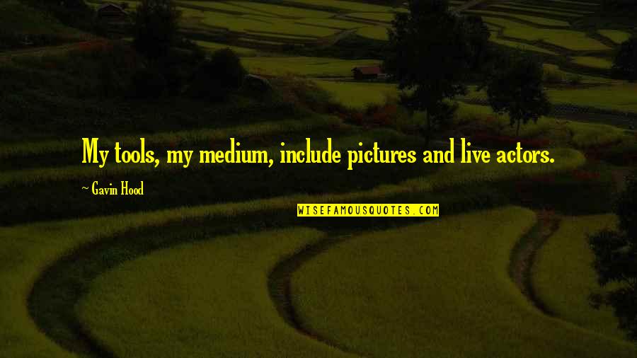 Crannies Cranberries Quotes By Gavin Hood: My tools, my medium, include pictures and live