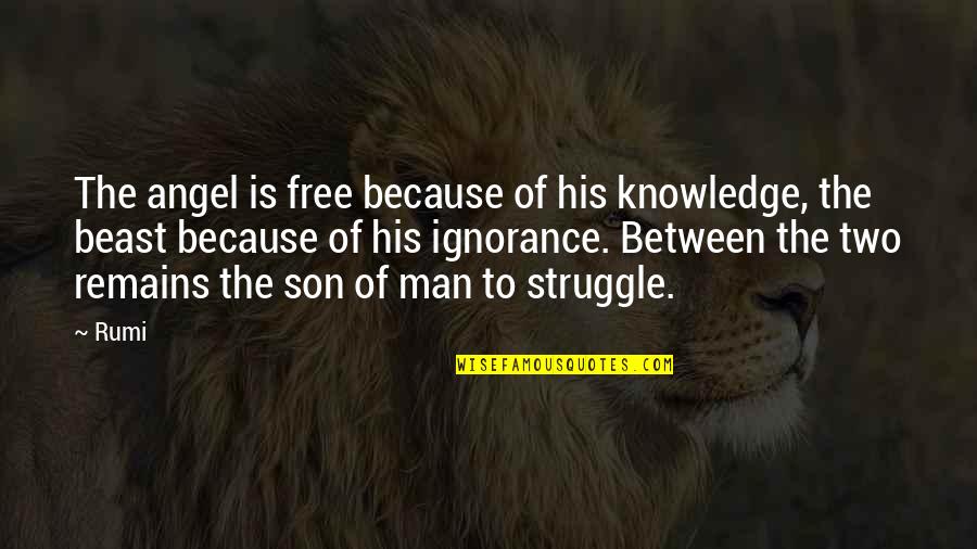 Cranshaw Singer Quotes By Rumi: The angel is free because of his knowledge, Cranshaw Singer Quotes By Rumi: The angel is free because of his knowledge,