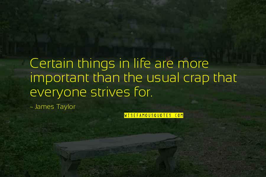 Crap Life Quotes By James Taylor: Certain things in life are more important than
