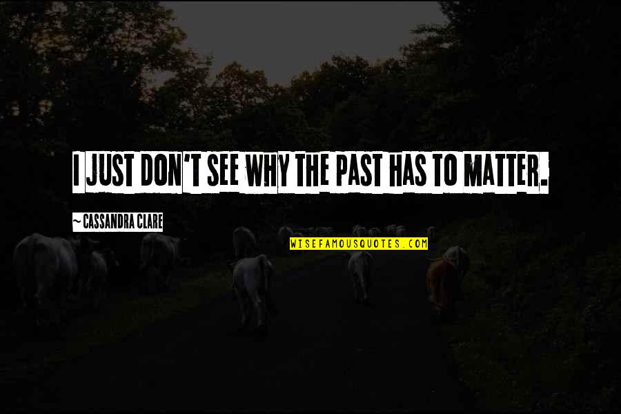 Craptastic Gifts Quotes By Cassandra Clare: I just don't see why the past has