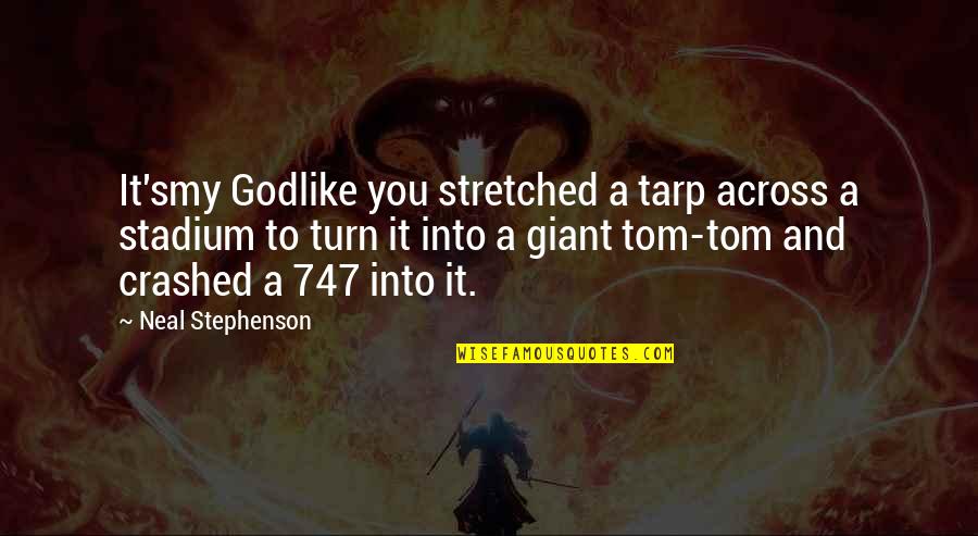 Crashed Quotes By Neal Stephenson: It'smy Godlike you stretched a tarp across a