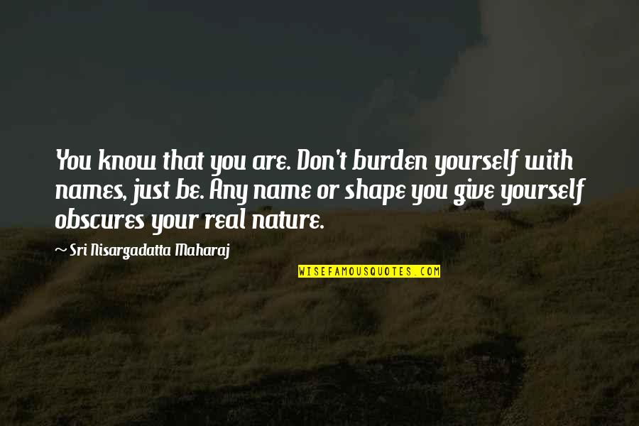 Cratus Quotes By Sri Nisargadatta Maharaj: You know that you are. Don't burden yourself