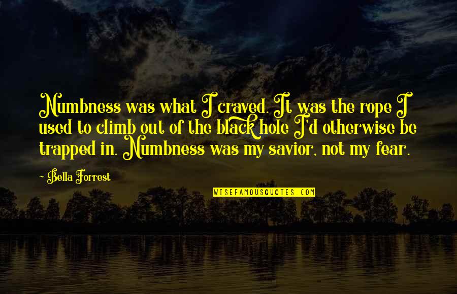 Craved Quotes By Bella Forrest: Numbness was what I craved. It was the