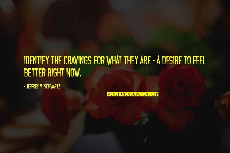 Cravings Quotes By Jeffrey M. Schwartz: identify the cravings for what they are -
