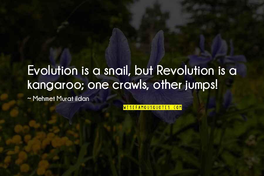 Crawls Quotes By Mehmet Murat Ildan: Evolution is a snail, but Revolution is a