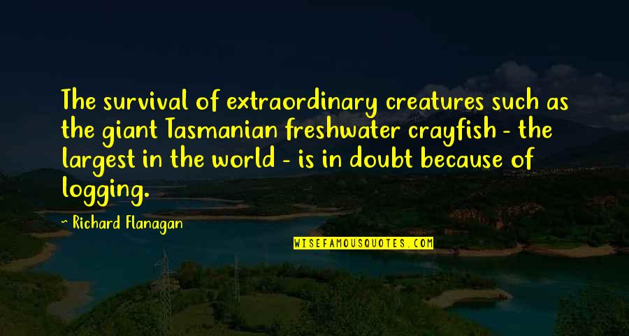 Crayfish Quotes By Richard Flanagan: The survival of extraordinary creatures such as the