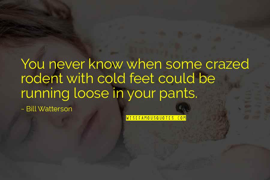 Crazed Quotes By Bill Watterson: You never know when some crazed rodent with