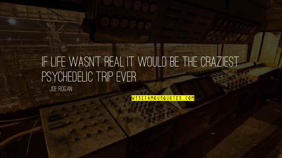 Craziest Quotes By Joe Rogan: If life wasn't real it would be the