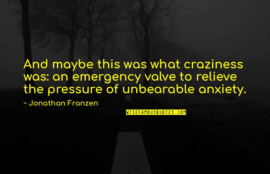 Craziness Quotes By Jonathan Franzen: And maybe this was what craziness was: an