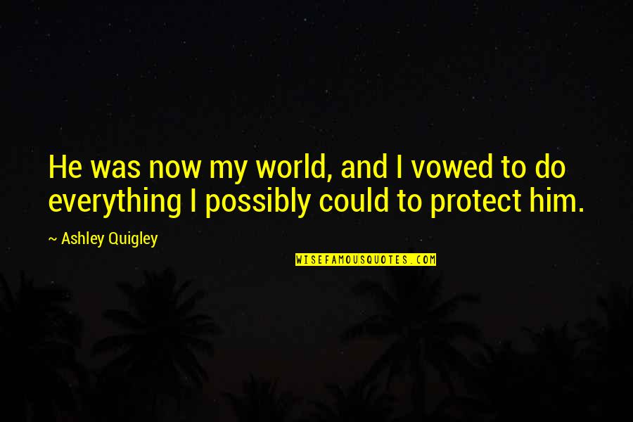Crazing Cracks Quotes By Ashley Quigley: He was now my world, and I vowed
