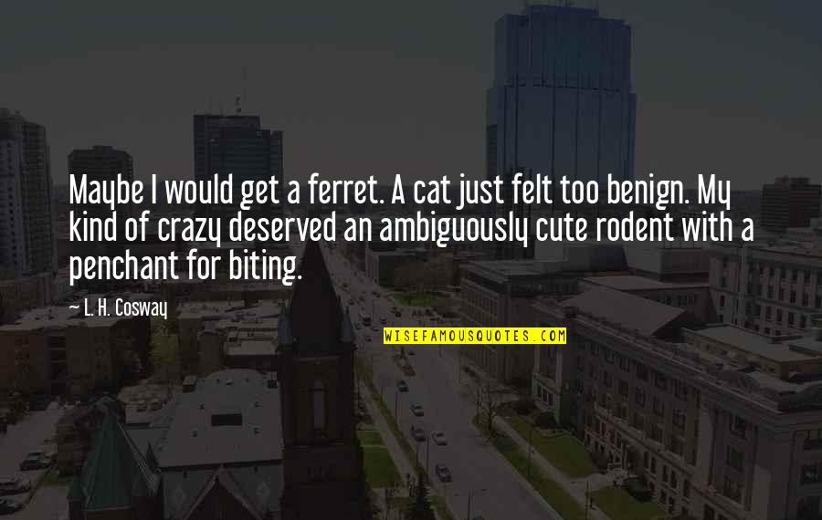 Crazy But Cute Quotes By L. H. Cosway: Maybe I would get a ferret. A cat