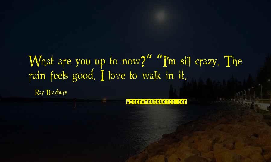 Crazy In Love Quotes By Ray Bradbury: What are you up to now?" "I'm sill