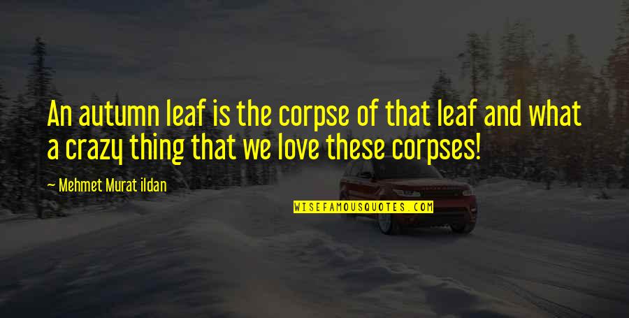 Crazy Love And Quotes By Mehmet Murat Ildan: An autumn leaf is the corpse of that