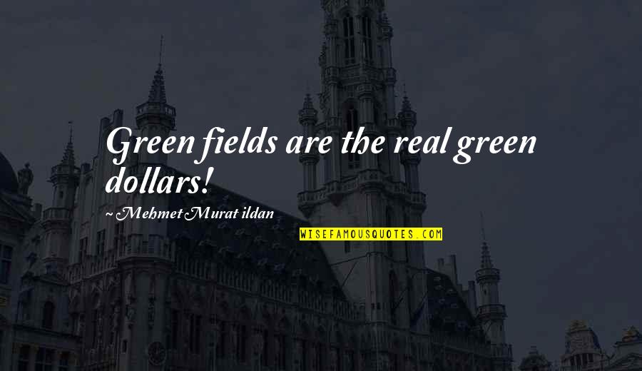 Crazy Love Tumblr Quotes By Mehmet Murat Ildan: Green fields are the real green dollars!