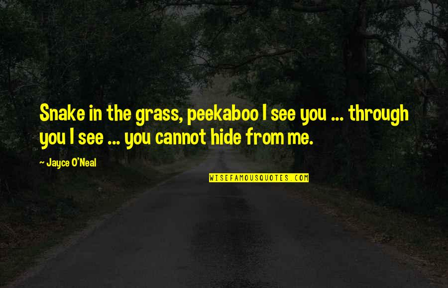 Crazy Mike Huckabee Quotes By Jayce O'Neal: Snake in the grass, peekaboo I see you