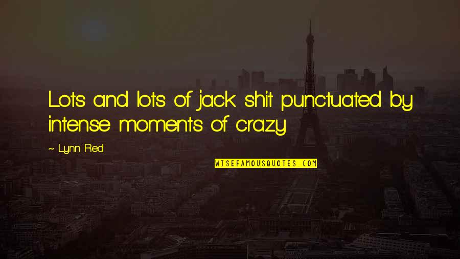 Crazy Moments Quotes By Lynn Red: Lots and lots of jack shit punctuated by