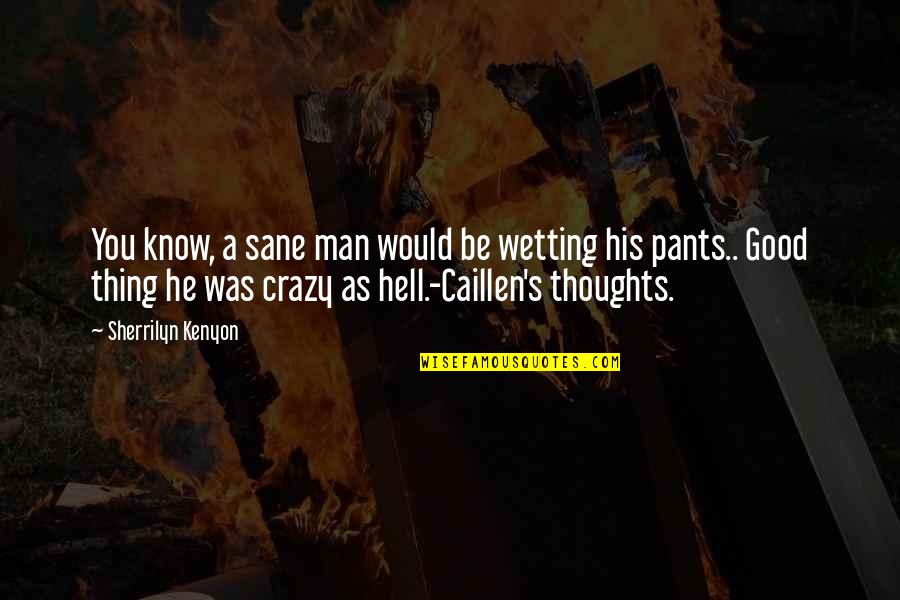 Crazy Pants Quotes By Sherrilyn Kenyon: You know, a sane man would be wetting