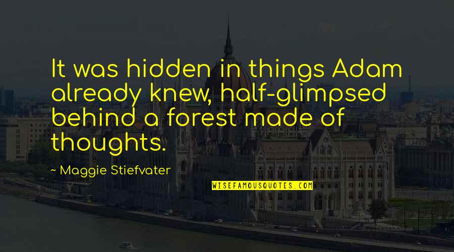 Crazy Stalker Girl Quotes By Maggie Stiefvater: It was hidden in things Adam already knew,