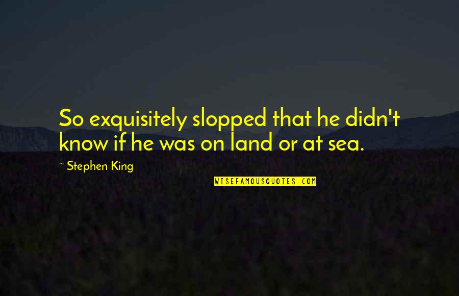 Crazy Top On Almonds Quotes By Stephen King: So exquisitely slopped that he didn't know if