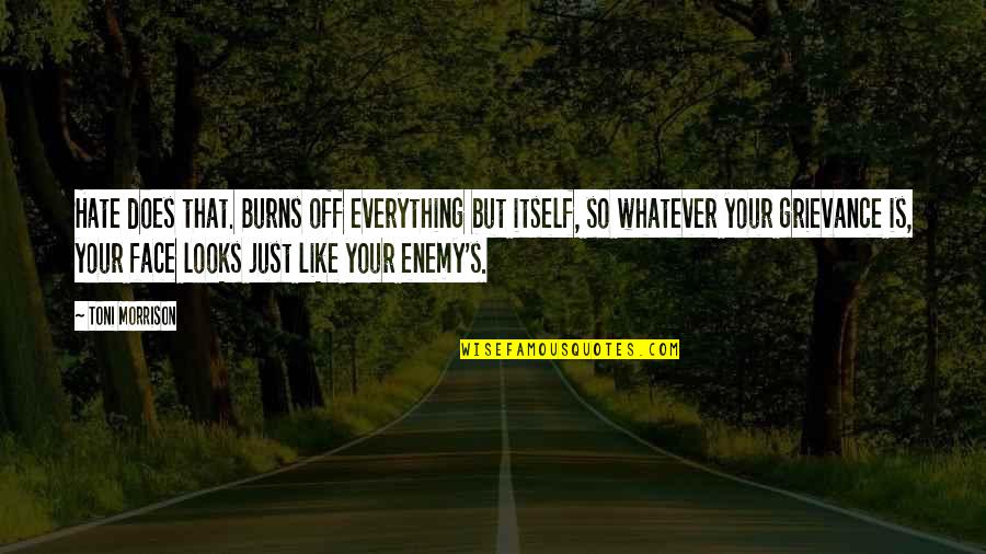 Crazy World We Live In Quotes By Toni Morrison: Hate does that. Burns off everything but itself,