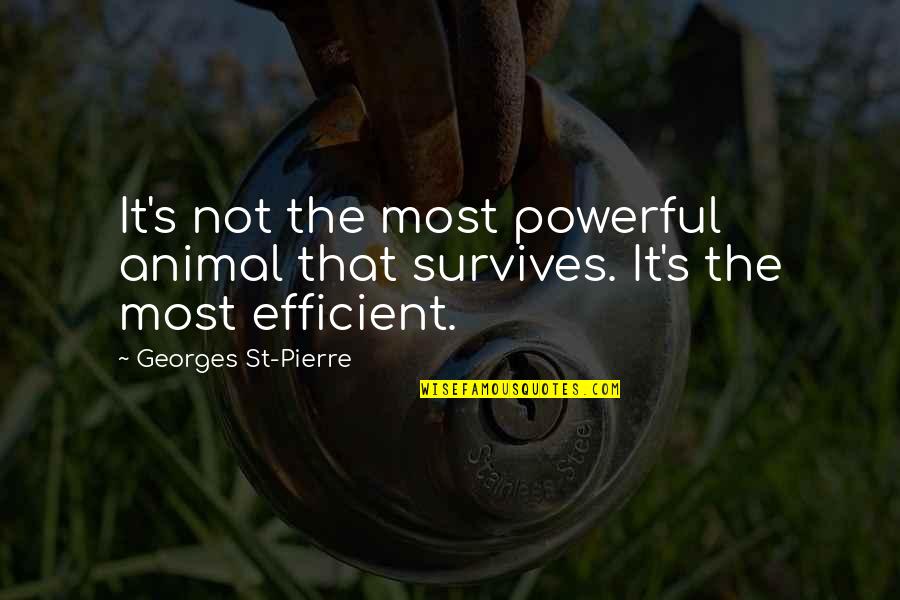 Creada Quotes By Georges St-Pierre: It's not the most powerful animal that survives. Creada Quotes By Georges St-Pierre: It's not the most powerful animal that survives.